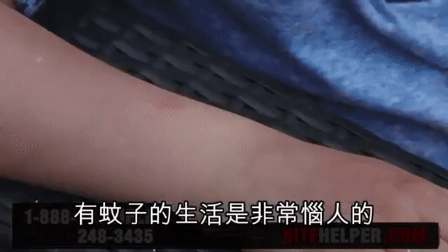 1.gif